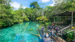 Bonito Adventure